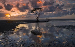 可以想象年轻，浪漫，被法国红酒迷醉的肖邦。。。(转载)